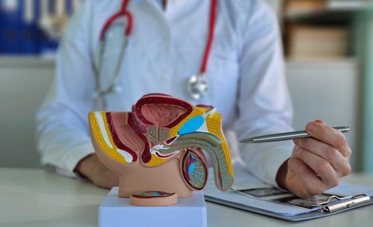 Penis Eğriliği
